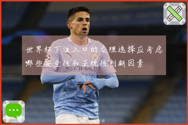 世界杯下注入口的合理选择应考虑哪些安全性和正规性判断因素
