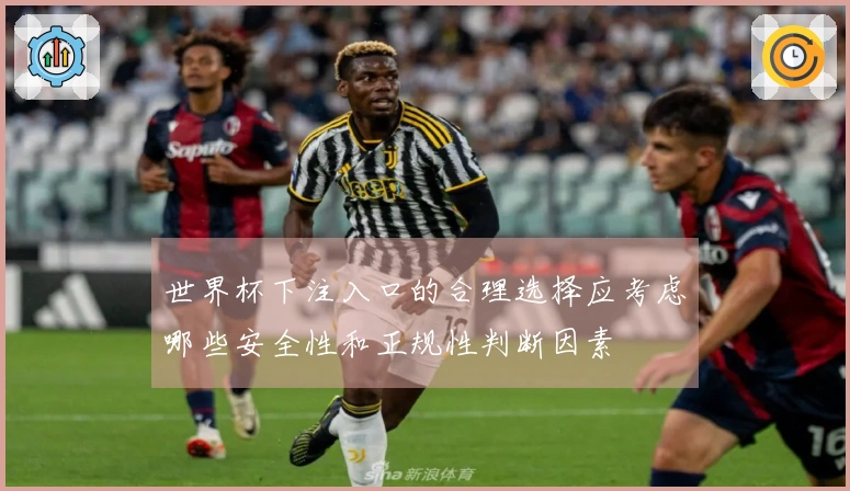 世界杯下注入口的合理选择应考虑哪些安全性和正规性判断因素