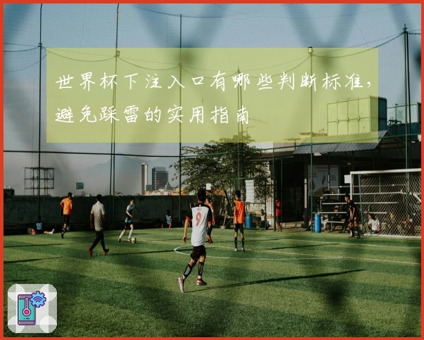 世界杯下注入口有哪些判断标准，避免踩雷的实用指南